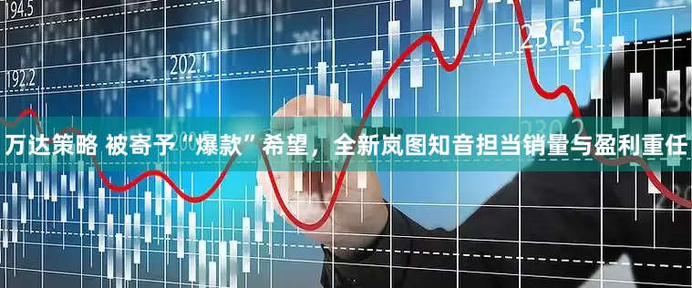 万达策略 被寄予“爆款”希望，全新岚图知音担当销量与盈利重任